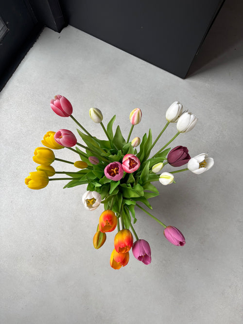 Colorful Tulip Set — Only Tulips