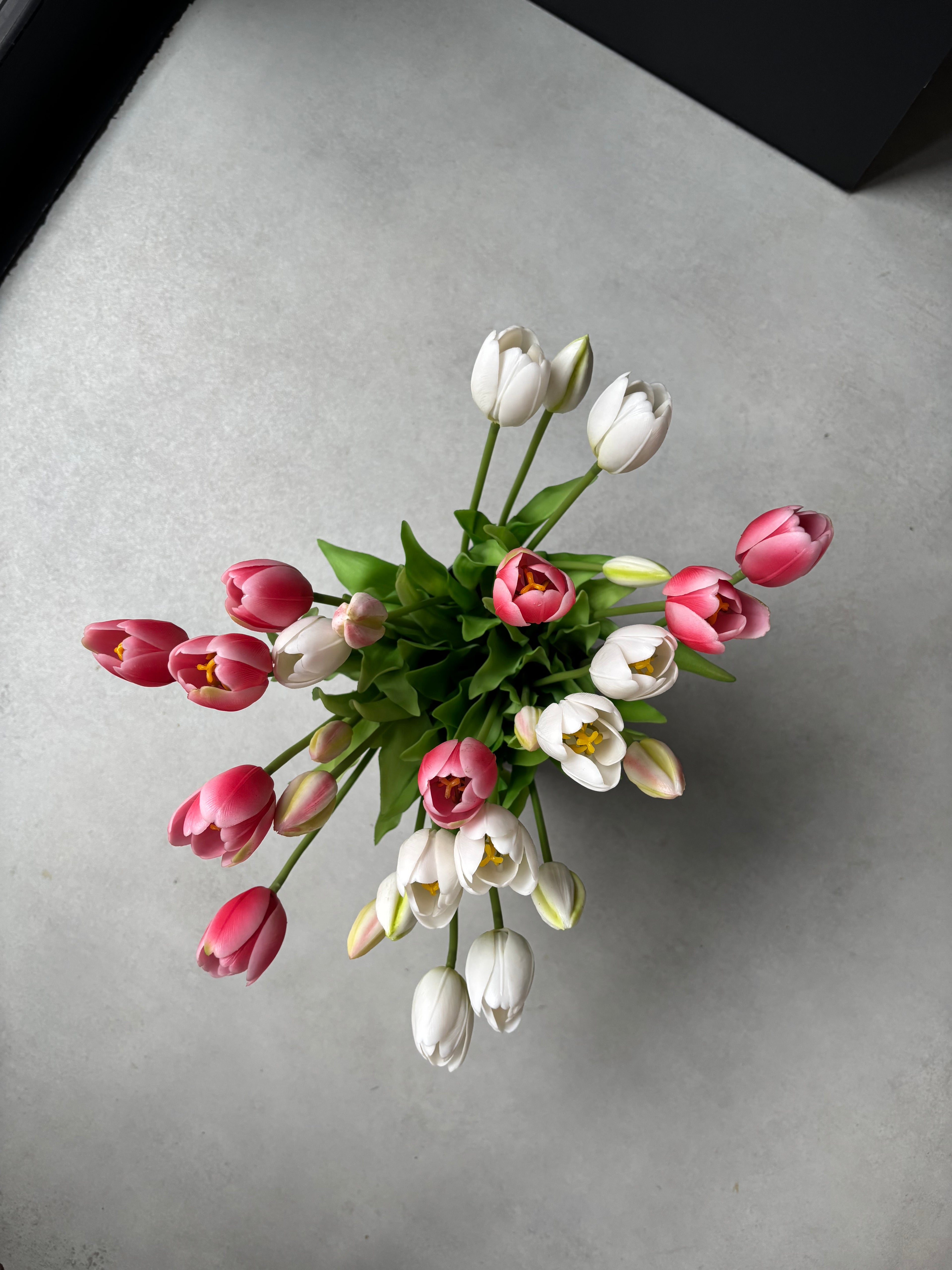 Minimalist Tulip Set — Only Tulips