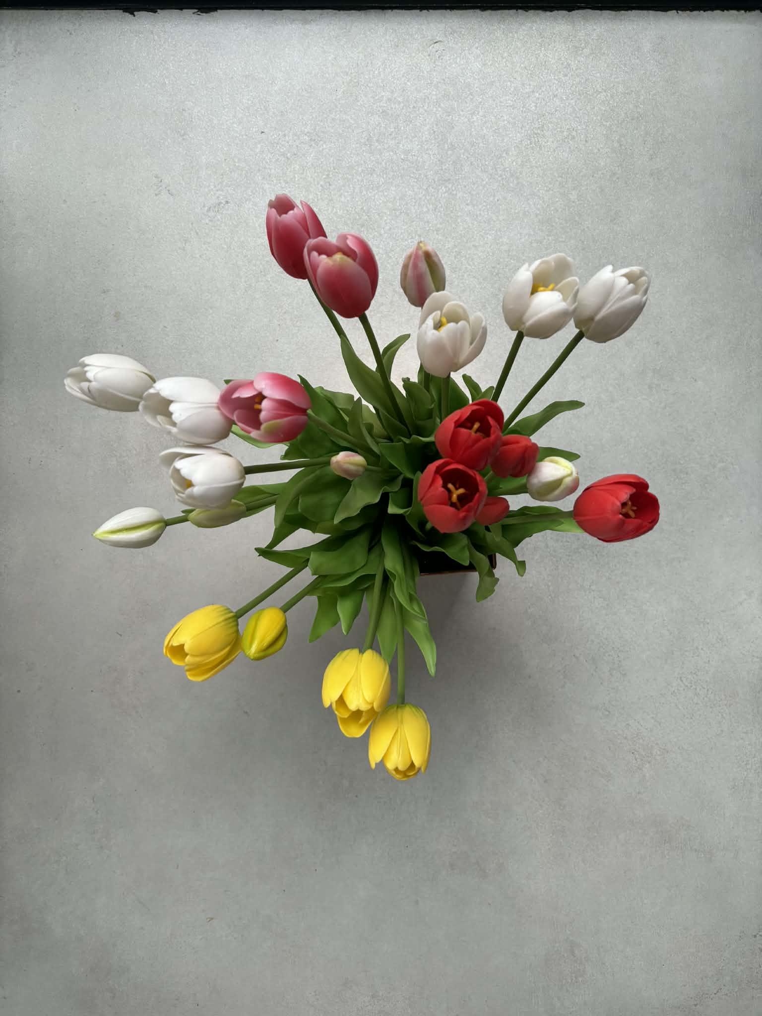 Mixed Color Tulip Set — Only Tulips